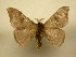  ( - 11-CRBS-2295)  @14 [ ] No Rights Reserved (2010) James Sullivan Research Collection of J. B. Sullivan