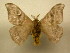  ( - 11-CRBS-2296)  @14 [ ] No Rights Reserved (2010) James Sullivan Research Collection of J. B. Sullivan
