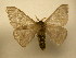  ( - 11-CRBS-2297)  @14 [ ] No Rights Reserved (2010) James Sullivan Research Collection of J. B. Sullivan