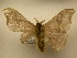  ( - 11-CRBS-2301)  @14 [ ] No Rights Reserved (2010) James Sullivan Research Collection of J. B. Sullivan