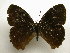  (Eretris - 11-CRBS-2376)  @13 [ ] No Rights Reserved (2011) JB Sullivan Research Collection of J. B. Sullivan