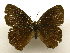  ( - 11-CRBS-2378)  @12 [ ] No Rights Reserved (2011) JB Sullivan Research Collection of J. B. Sullivan