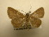  (Antiblemma Sullivan1830 - 11-CRBS-2385)  @12 [ ] No Rights Reserved (2011) JB Sullivan Research Collection of J. B. Sullivan