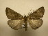  ( - 11-CRBS-2413)  @14 [ ] No Rights Reserved (2011) JB Sullivan Research Collection of J. B. Sullivan