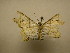  ( - 11-CRBS-2444)  @13 [ ] No Rights Reserved (2011) JB Sullivan Research Collection of J. B. Sullivan