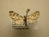  ( - 11-CRBS-2469)  @14 [ ] No Rights Reserved (2011) JB Sullivan Research Collection of J. B. Sullivan