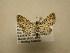  ( - 11-CRBS-2470)  @14 [ ] No Rights Reserved (2011) JB Sullivan Research Collection of J. B. Sullivan