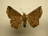  ( - 11-CRBS-2522)  @14 [ ] No Rights Reserved (2011) JB Sullivan Research Collection of J. B. Sullivan