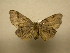  ( - 11-CRBS-2552)  @13 [ ] No Rights Reserved (2011) JB Sullivan Research Collection of J. B. Sullivan