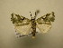  ( - 11-CRBS-2570)  @14 [ ] No Rights Reserved (2012) JB Sullivan Research Collection of J. B. Sullivan