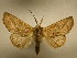  ( - 11-CRBS-2684)  @14 [ ] No Rights Reserved (2011) JB Sullivan Research Collection of J. B. Sullivan