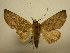  ( - 11-CRBS-2689)  @14 [ ] No Rights Reserved (2011) JB Sullivan Research Collection of J. B. Sullivan