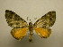  ( - 11-CRBS-2757)  @13 [ ] No Rights Reserved (2011) JB Sullivan Research Collection of J. B. Sullivan