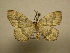  ( - 11-CRBS-2787)  @13 [ ] No Rights Reserved (2011) JB Sullivan Research Collection of J. B. Sullivan
