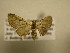  ( - 11-CRBS-2898)  @13 [ ] No Rights Reserved (2011) JB Sullivan Research Collection of J. B. Sullivan