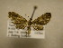 ( - 11-CRBS-2907)  @13 [ ] No Rights Reserved (2011) JB Sullivan Research Collection of J. B. Sullivan