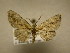  ( - 11-CRBS-2909)  @12 [ ] No Rights Reserved (2011) JB Sullivan Research Collection of J. B. Sullivan
