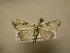 ( - 11-CRBS-2928)  @13 [ ] No Rights Reserved (2011) JB Sullivan Research Collection of J. B. Sullivan