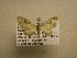  ( - 12-CRBS-038)  @12 [ ] No Rights Reserved (2012) JB Sullivan Research Collection of J.B. Sullivan