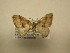  ( - 12-CRBS-072)  @12 [ ] No Rights Reserved (2012) JB Sullivan Research Collection of J.B. Sullivan