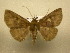  ( - 12-CRBS-119)  @12 [ ] No Rights Reserved (2012) JB Sullivan Research Collection of J.B. Sullivan