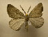  ( - 12-CRBS-145)  @13 [ ] No Rights Reserved (2012) JB Sullivan Research Collection of J.B. Sullivan