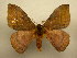  ( - 12-CRBS-193)  @14 [ ] No Rights Reserved (2012) JB Sullivan Research Collection of J.B. Sullivan