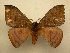  ( - 12-CRBS-194)  @14 [ ] No Rights Reserved (2012) JB Sullivan Research Collection of J.B. Sullivan