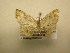  ( - 12-CRBS-342)  @12 [ ] No Rights Reserved (2012) JB Sullivan Research Collection of J.B. Sullivan