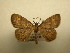  ( - 12-CRBS-363)  @13 [ ] No Rights Reserved (2012) JB Sullivan Research Collection of J.B. Sullivan
