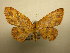  ( - 12-CRBS-372)  @14 [ ] No Rights Reserved (2012) JB Sullivan Research Collection of J.B. Sullivan