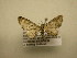  ( - 12-CRBS-431)  @13 [ ] No Rights Reserved (2012) JB Sullivan Research Collection of J.B. Sullivan