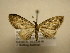  ( - 12-CRBS-434)  @14 [ ] No Rights Reserved (2012) JB Sullivan Research Collection of J.B. Sullivan