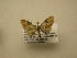  ( - 12-CRBS-445)  @13 [ ] No Rights Reserved (2012) JB Sullivan Research Collection of J.B. Sullivan