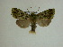 ( - 13-CRBS-027)  @13 [ ] No Rights Reserved (2013) James Sullivan Research Collection of J. B. Sullivan