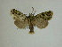  ( - 13-CRBS-028)  @13 [ ] No Rights Reserved (2013) James Sullivan Research Collection of J. B. Sullivan