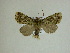  ( - 13-CRBS-030)  @11 [ ] No Rights Reserved (2013) James Sullivan Research Collection of J. B. Sullivan