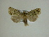 ( - 13-CRBS-031)  @13 [ ] No Rights Reserved (2013) James Sullivan Research Collection of J. B. Sullivan