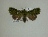  ( - 13-CRBS-042)  @12 [ ] No Rights Reserved (2013) James Sullivan Research Collection of J. B. Sullivan