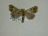  ( - 13-CRBS-047)  @12 [ ] No Rights Reserved (2013) James Sullivan Research Collection of J. B. Sullivan