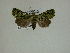  ( - 13-CRBS-051)  @12 [ ] No Rights Reserved (2013) James Sullivan Research Collection of J. B. Sullivan