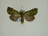  ( - 13-CRBS-052)  @12 [ ] No Rights Reserved (2013) James Sullivan Research Collection of J. B. Sullivan