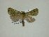  ( - 13-CRBS-053)  @12 [ ] No Rights Reserved (2013) James Sullivan Research Collection of J. B. Sullivan