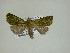  ( - 13-CRBS-054)  @12 [ ] No Rights Reserved (2013) James Sullivan Research Collection of J. B. Sullivan
