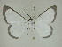  (Perigramma Sullivan0934 - 13-CRBS-069)  @14 [ ] No Rights Reserved (2013) James Sullivan Research Collection of J. B. Sullivan