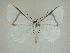  ( - 13-CRBS-071)  @14 [ ] No Rights Reserved (2013) James Sullivan Research Collection of J. B. Sullivan
