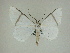  ( - 13-CRBS-072)  @14 [ ] No Rights Reserved (2013) James Sullivan Research Collection of J. B. Sullivan