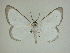  ( - 13-CRBS-073)  @13 [ ] No Rights Reserved (2013) James Sullivan Research Collection of J. B. Sullivan