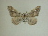  ( - 13-CRBS-076)  @11 [ ] No Rights Reserved (2013) James Sullivan Research Collection of J. B. Sullivan