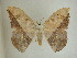  ( - 13-CRBS-107)  @12 [ ] No Rights Reserved (2013) James Sullivan Research Collection of J. B. Sullivan